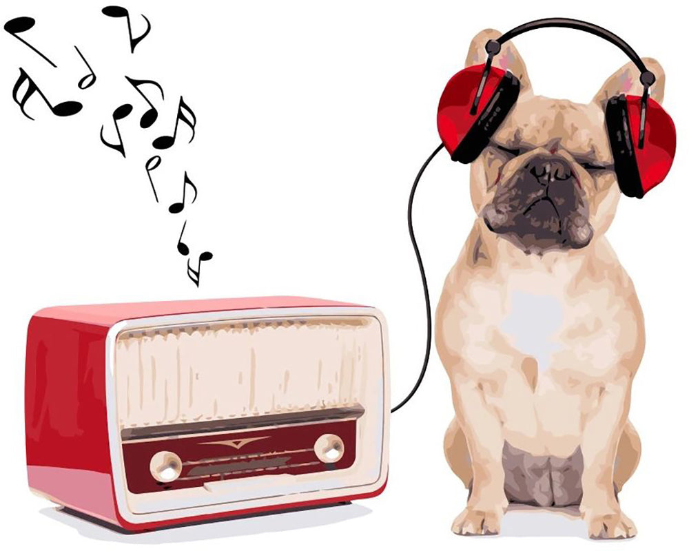 Music Loving Pup - 40x50 cm paint by numbers kit