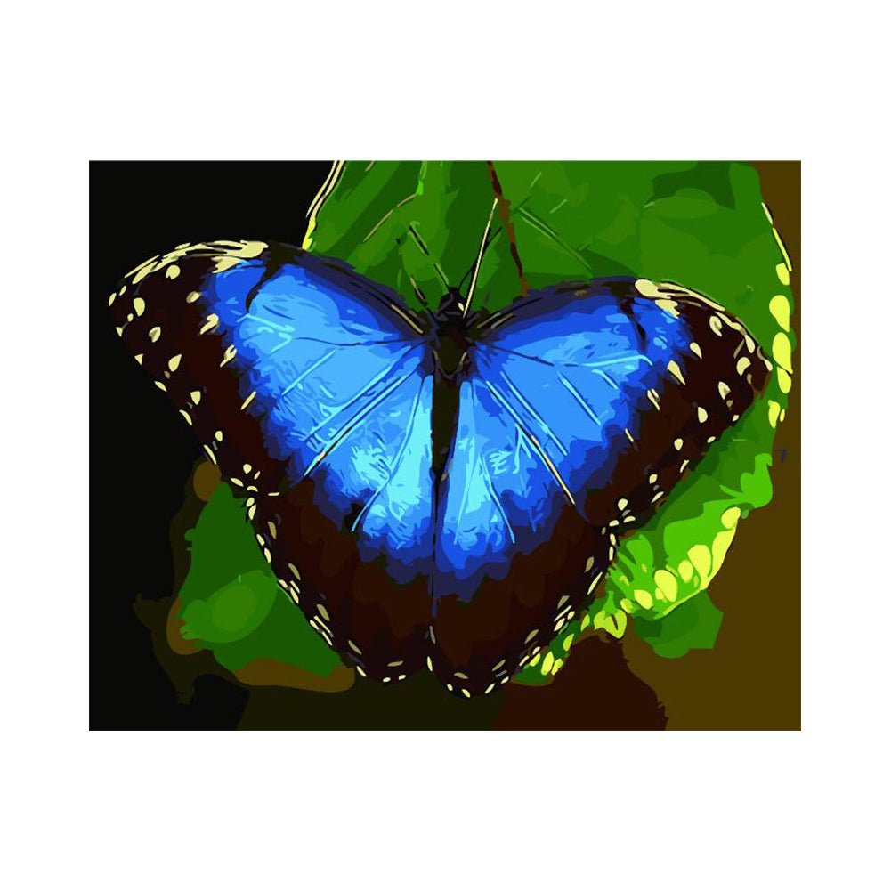 Electric Blue Butterfly - 40x50 cm paint by numbers kit