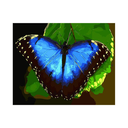 Electric Blue Butterfly - 40x50 cm paint by numbers kit