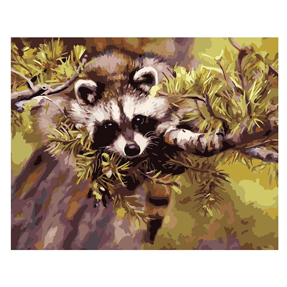 Raccoon in the Pine Tree - 40x50 cm paint by numbers kit