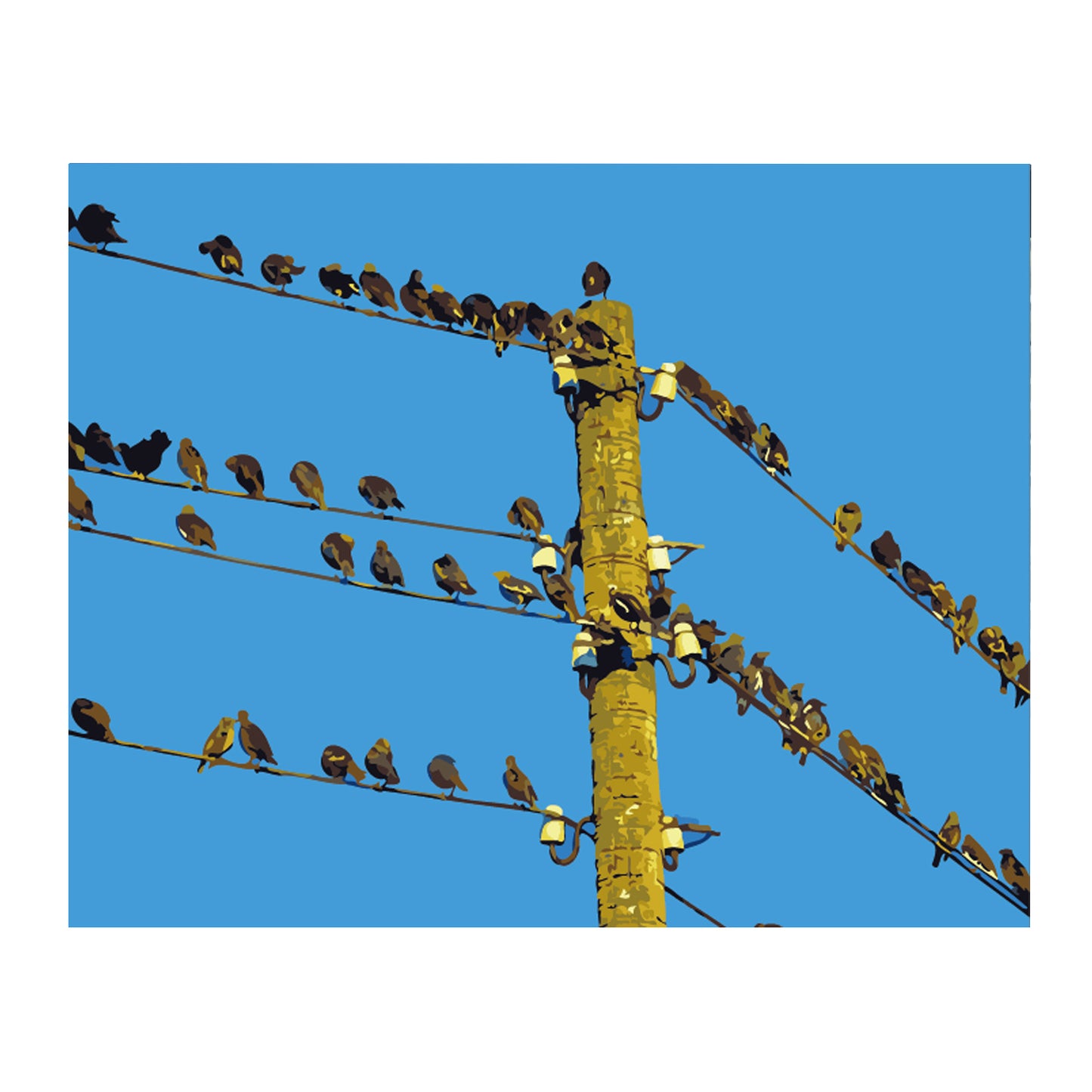 Birds on the Power Lines - 40x50 cm paint by numbers kit