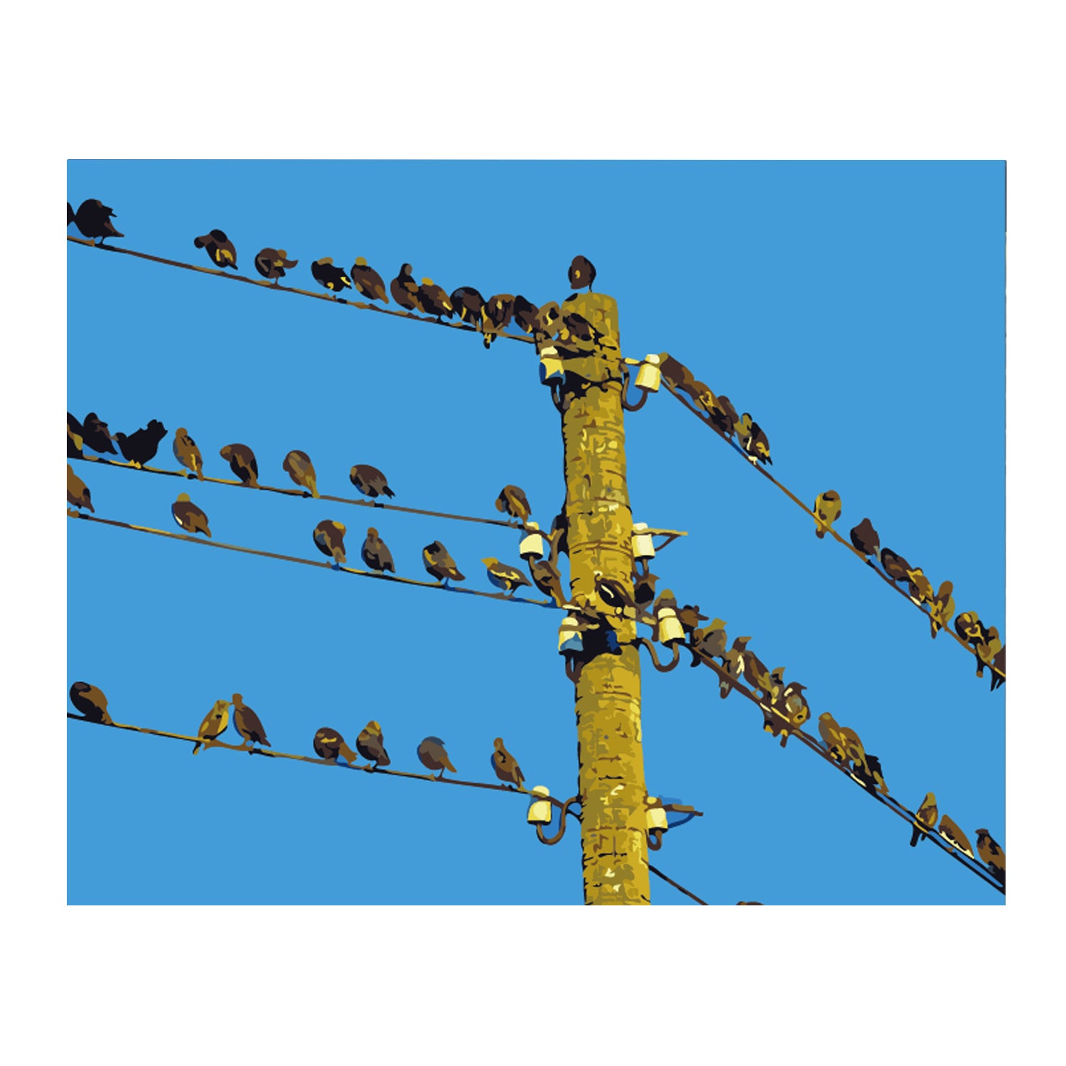 Birds on the Power Lines - 40x50 cm paint by numbers kit