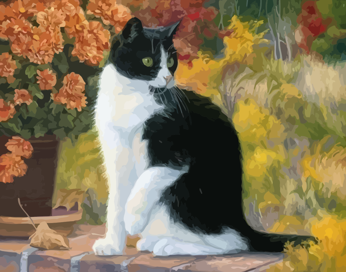 Black and White Cat in Autumn - 40x50 cm paint by numbers kit