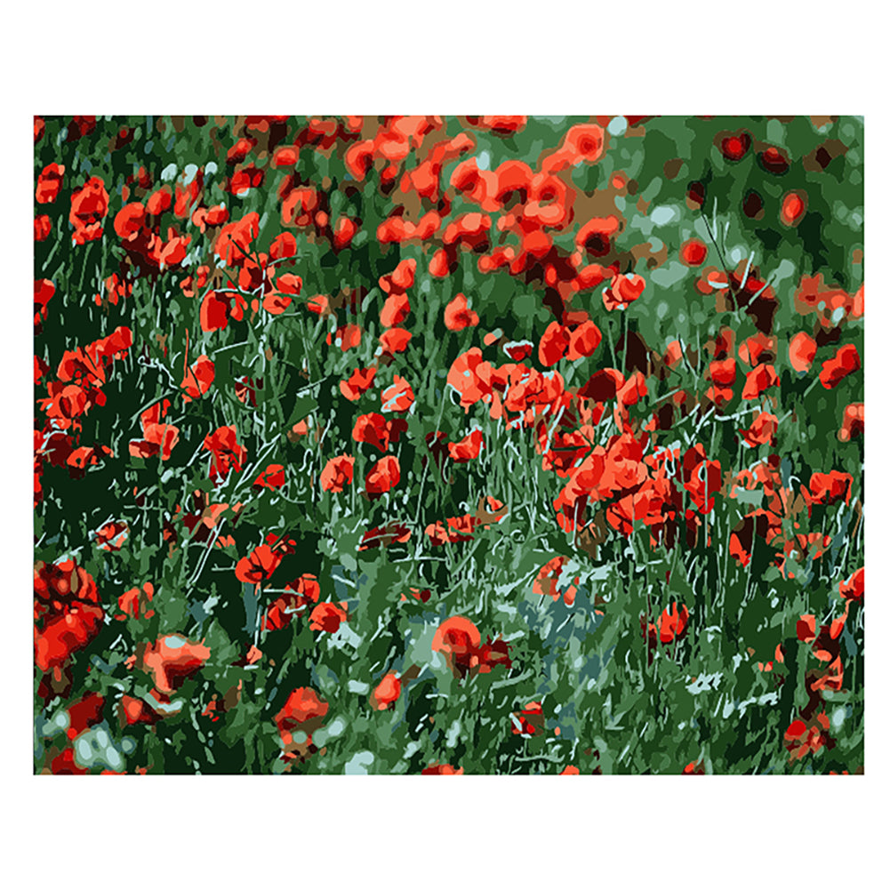 Red Poppy Meadow - 40x50 cm paint by numbers kit
