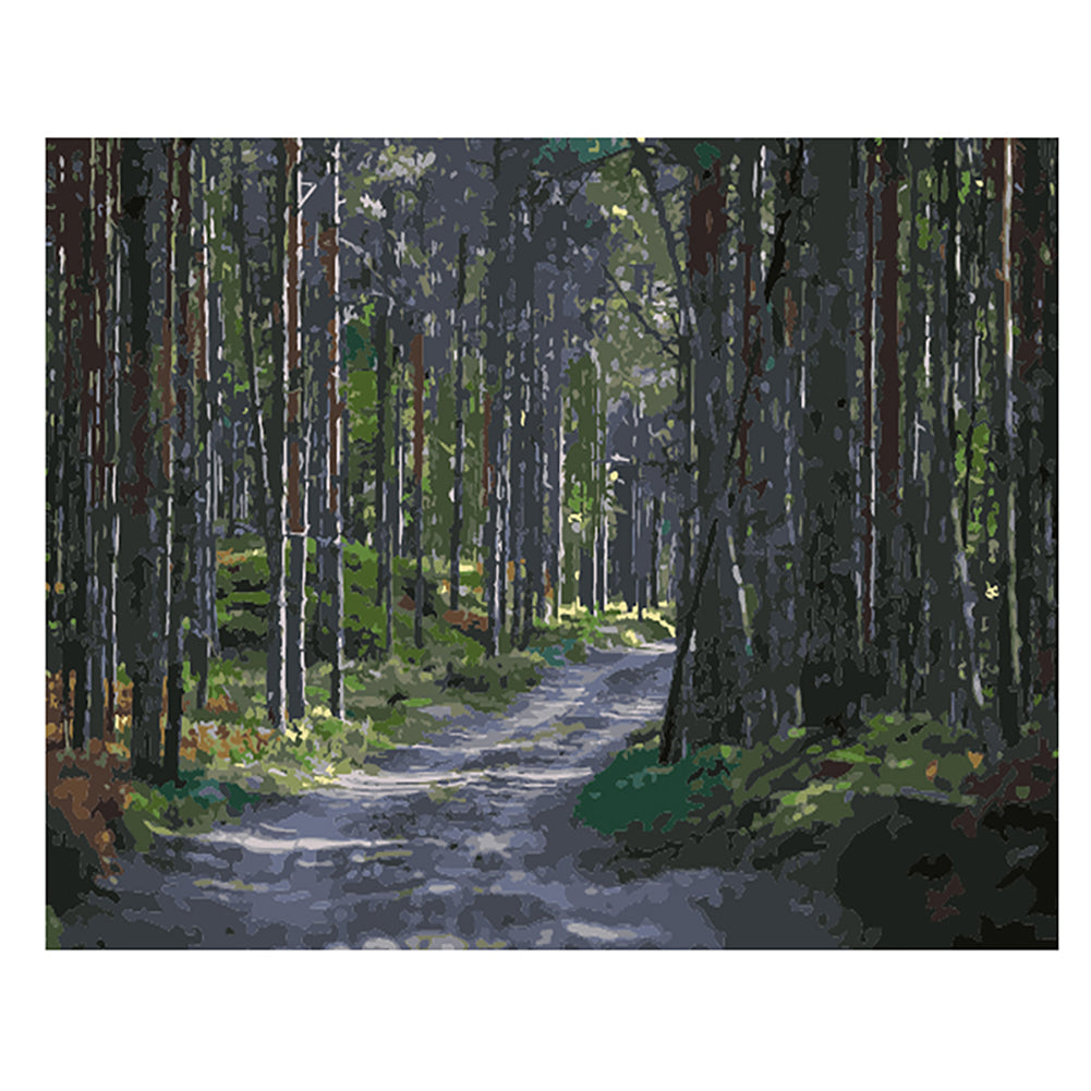 Sunlit Forest Path - 40x50 cm paint by numbers kit