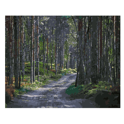 Sunlit Forest Path - 40x50 cm paint by numbers kit