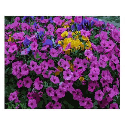 Vibrant Petunia Garden - 40x50 cm paint by numbers kit