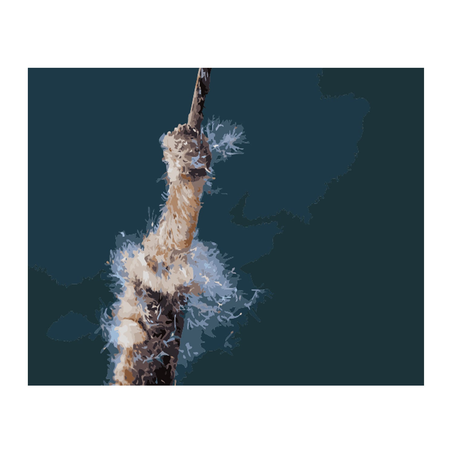 Frayed Rope on Deep Blue - 40x50 cm paint by numbers kit