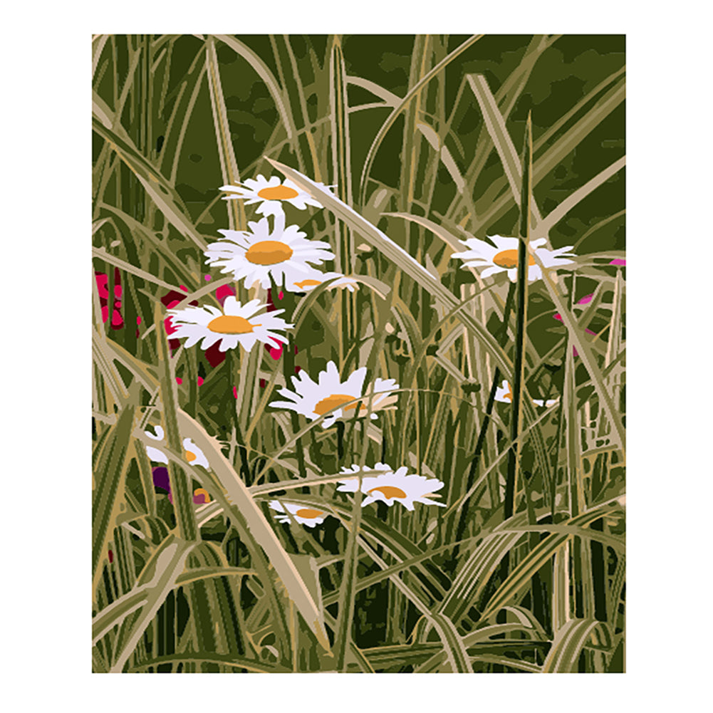 Wild Daisies in Tall Grass - 40x50 cm paint by numbers kit