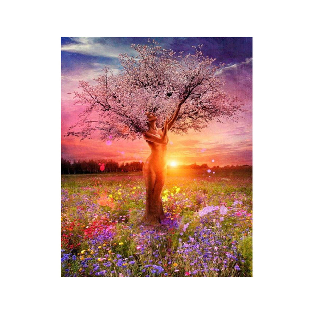 Blühender Baum Frau bei Sonnenuntergang