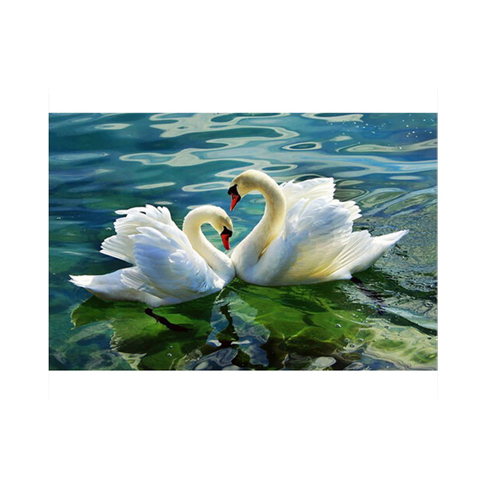 Graceful Swans on the Lake - 40x50 cm paint by numbers kit