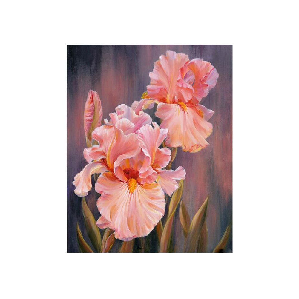 Blushing Pink Irises - 40x50 cm paint by numbers kit