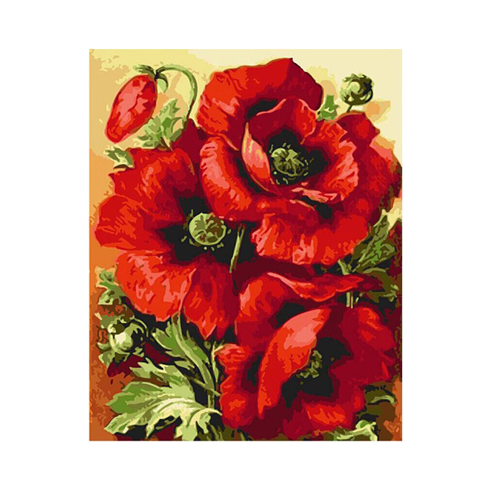 Bright Red Poppies - 40x50 cm paint by numbers kit