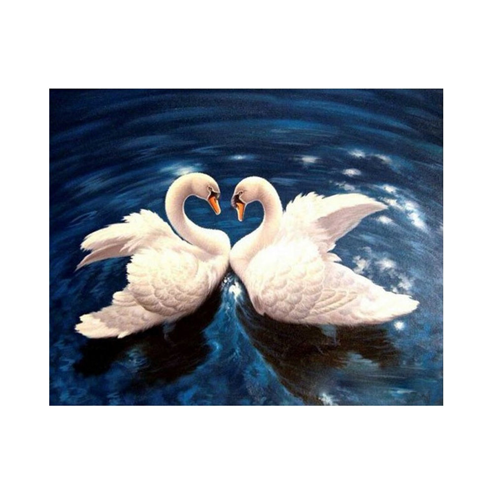Swans on Midnight Blue Water - 40x50 cm paint by numbers kit