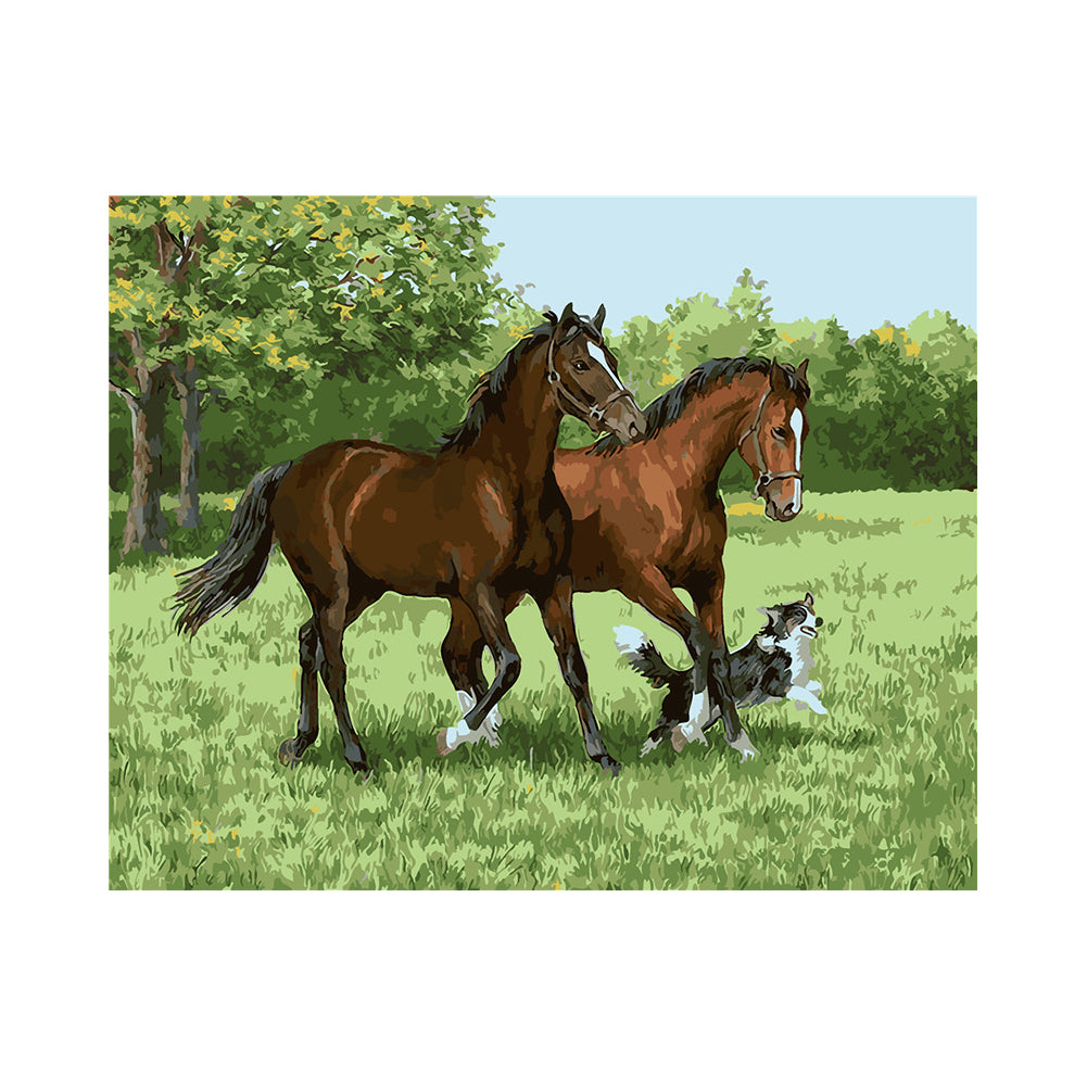 Horses and Border Collie - 40x50 cm paint by numbers kit