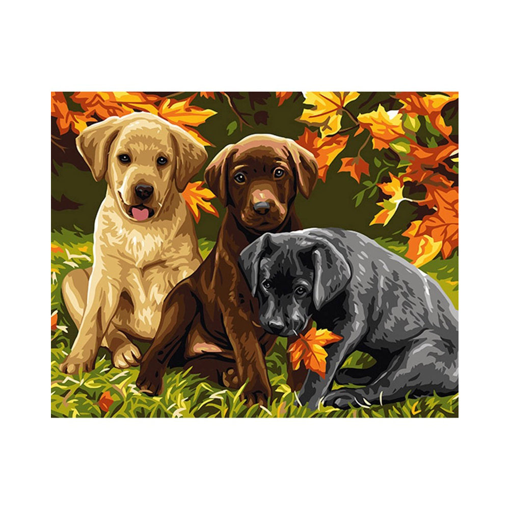 Three Labrador Puppies in Autumn - 40x50 cm paint by numbers kit
