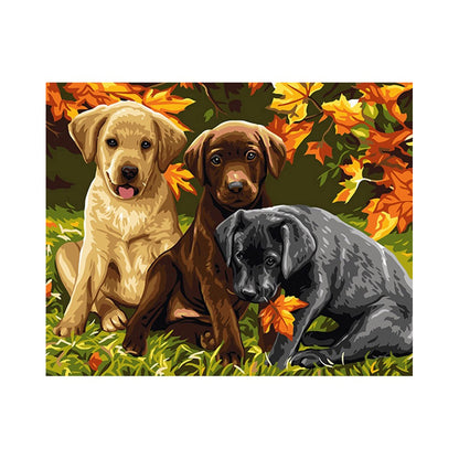 Three Labrador Puppies in Autumn - 40x50 cm paint by numbers kit