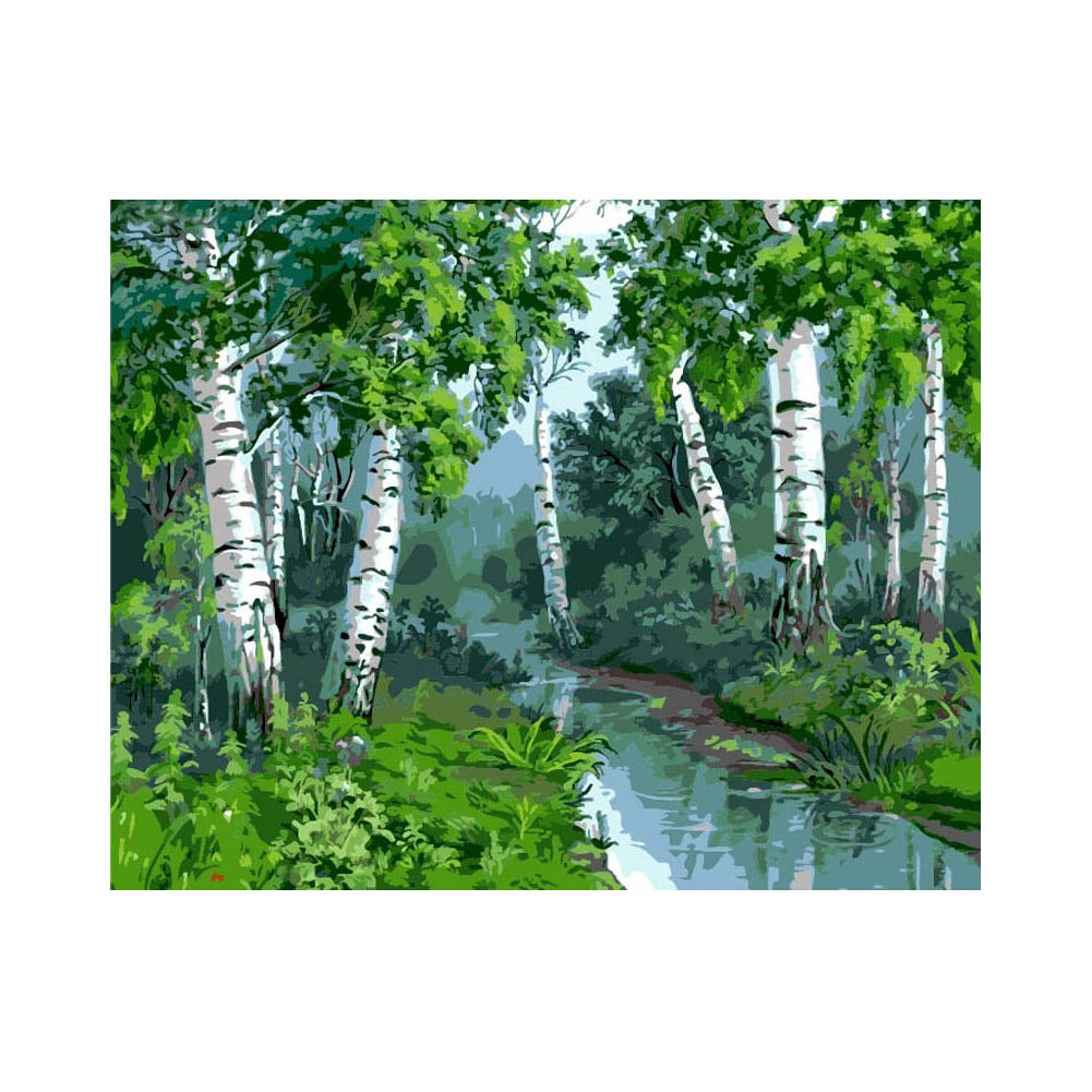 Quiet Birch Forest Stream - 40x50 cm paint by numbers kit