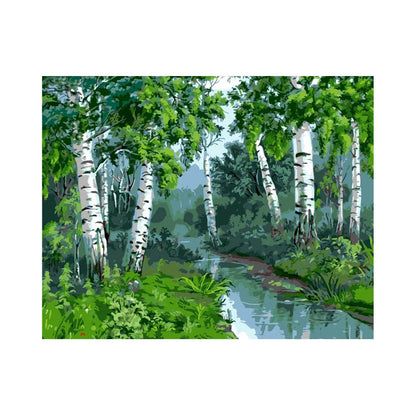 Quiet Birch Forest Stream - 40x50 cm paint by numbers kit