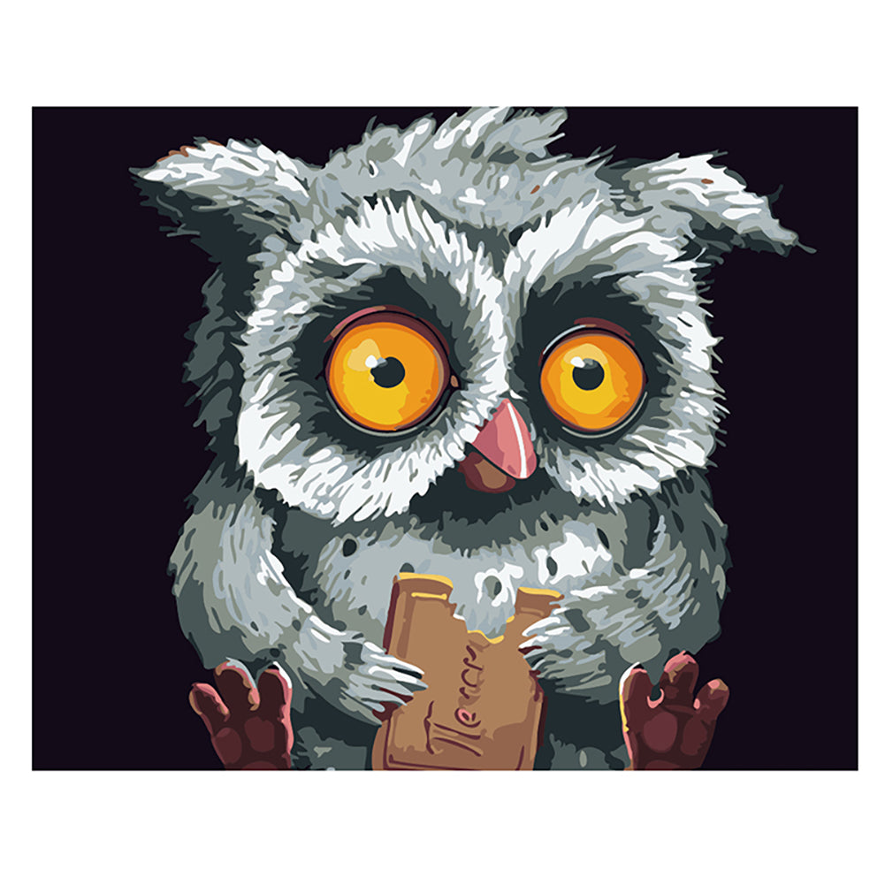 Wide Eyed Owl with a Cookie - 40x50 cm paint by numbers kit