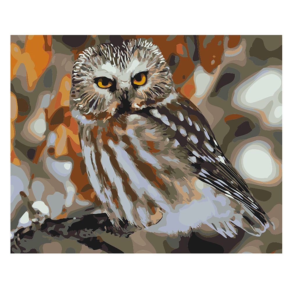 Amber Eyed Owl - 40x50 cm paint by numbers kit