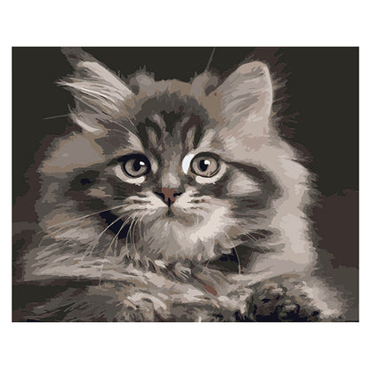 Fluffy Kitten Portrait - 40x50 cm paint by numbers kit