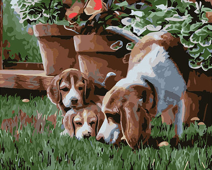 Garden Beagle Puppies - 40x50 cm paint by numbers kit