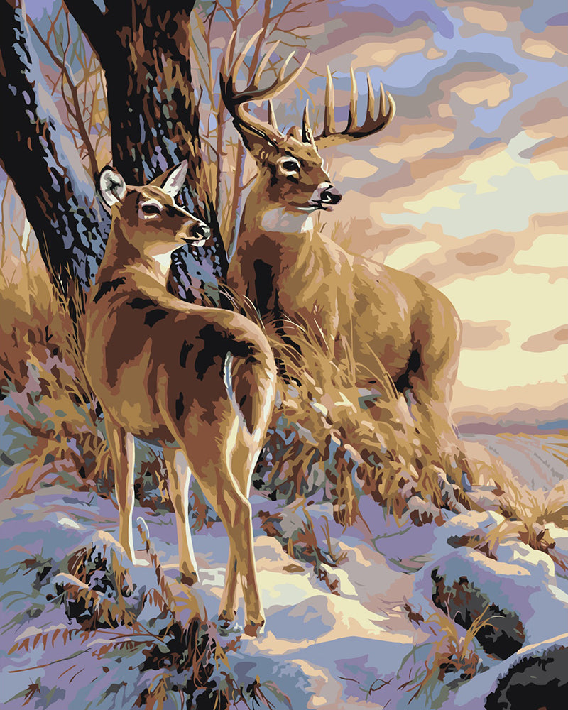 Winter Deer Pair - 40x50 cm paint by numbers kit