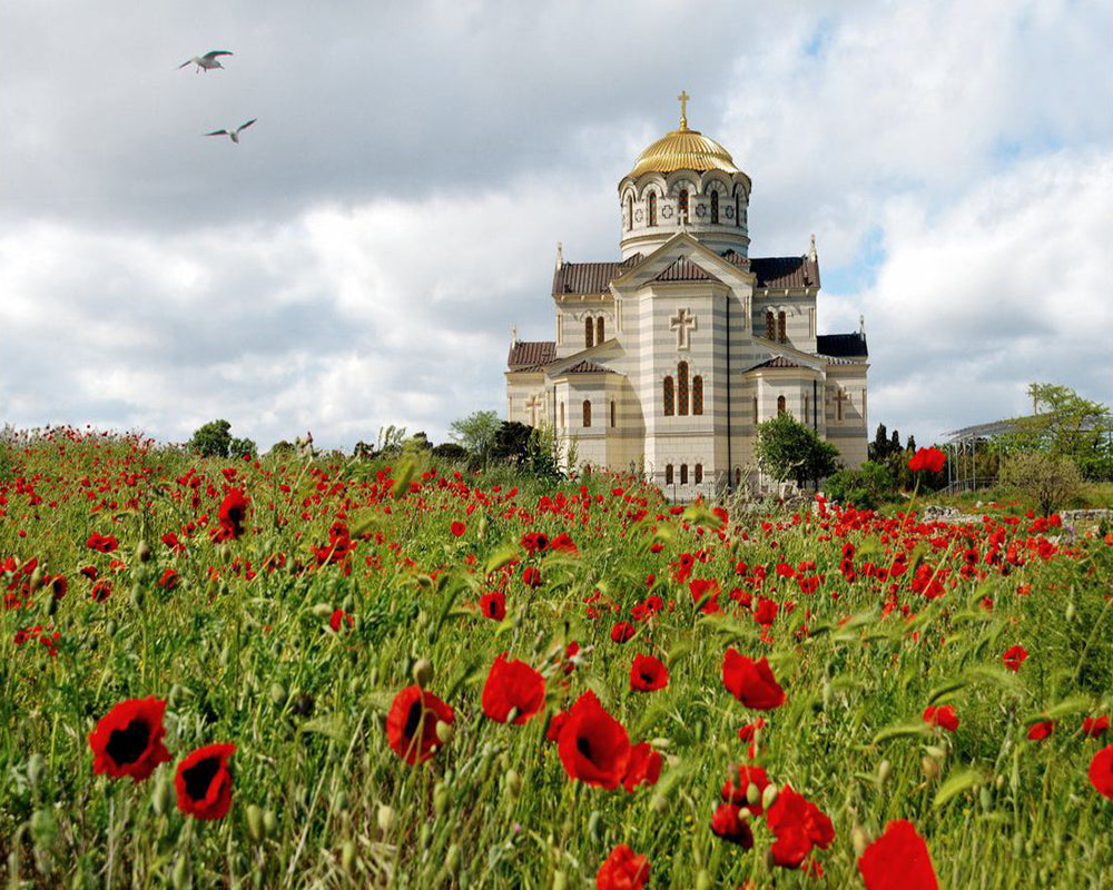 Church in Poppy Field - 40x50 cm paint by numbers kit