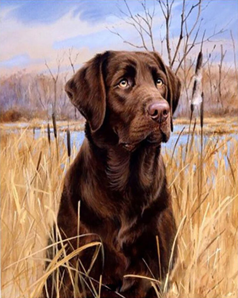 Chocolate Labrador in the Reeds - 40x50 cm paint by numbers kit