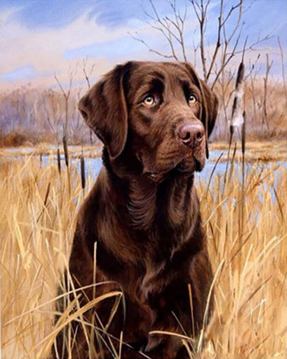 Chocolate Labrador in the Reeds - 40x50 cm paint by numbers kit
