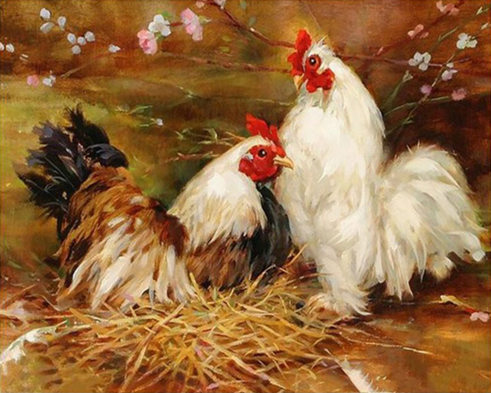 Rooster and Hen in the Barn - 40x50 cm paint by numbers kit