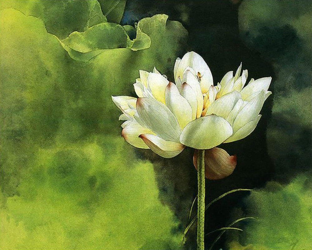 White Lotus in Green Light - 40x50 cm paint by numbers kit
