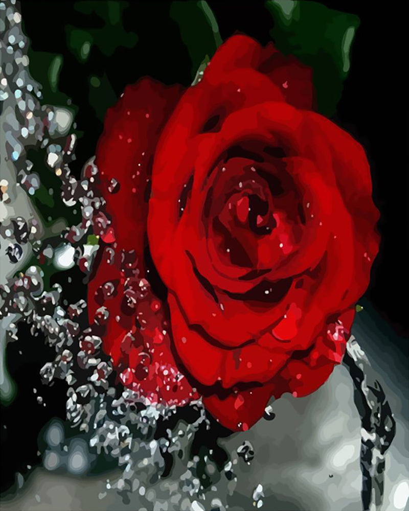 Dew Kissed Red Rose - 40x50 cm paint by numbers kit