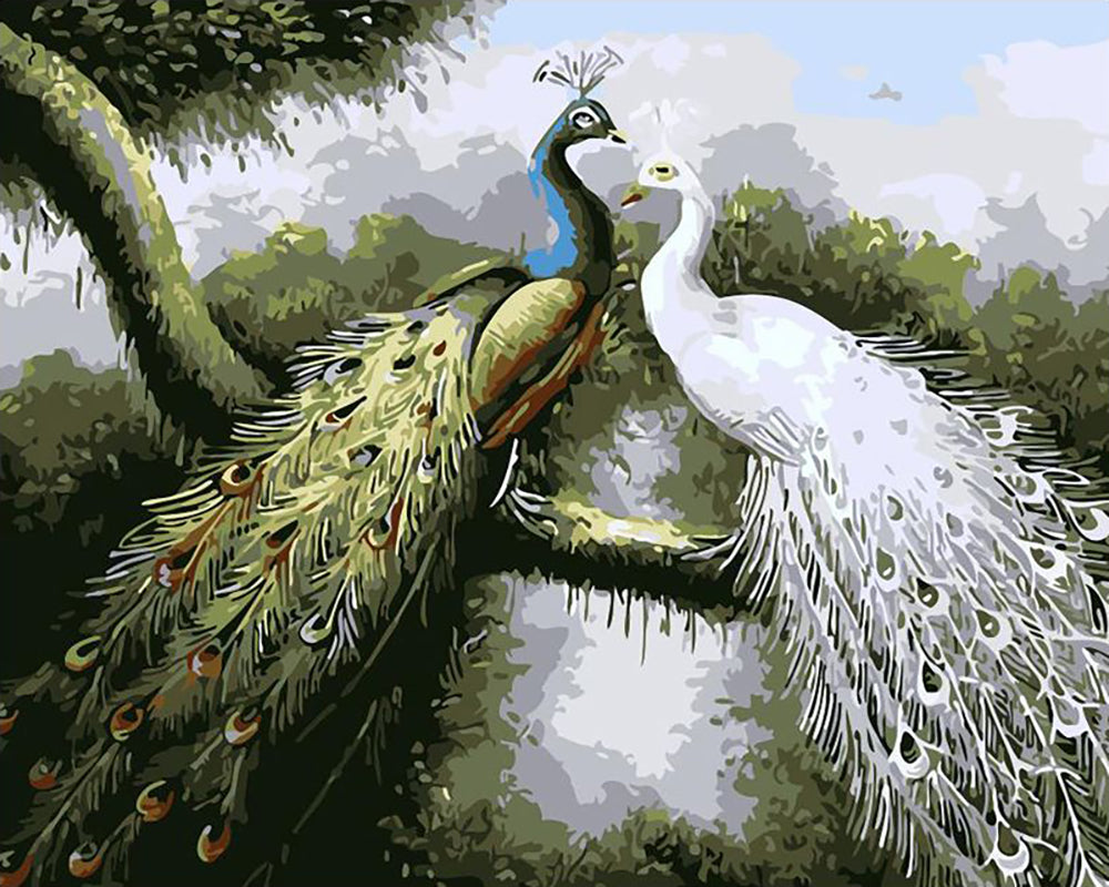 Peacock Pair in the Garden - 40x50 cm paint by numbers kit