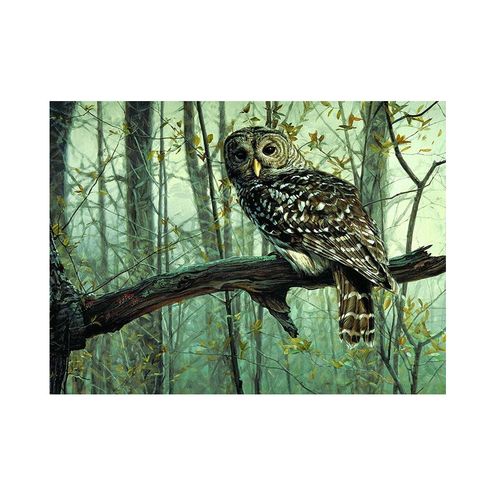Woodland Owl - 40x50 cm paint by numbers kit