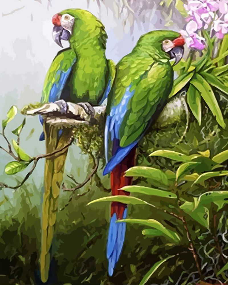 Green Parrot Pair - 40x50 cm paint by numbers kit