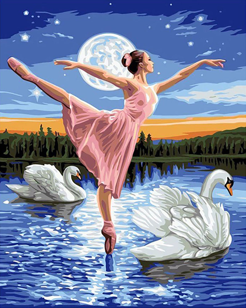 Swan Lake Ballerina - 40x50 cm