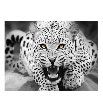 Monochrome Leopard Gaze - 40x50 cm paint by numbers kit