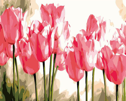 Pink Tulip Garden - 40x50 cm paint by numbers kit