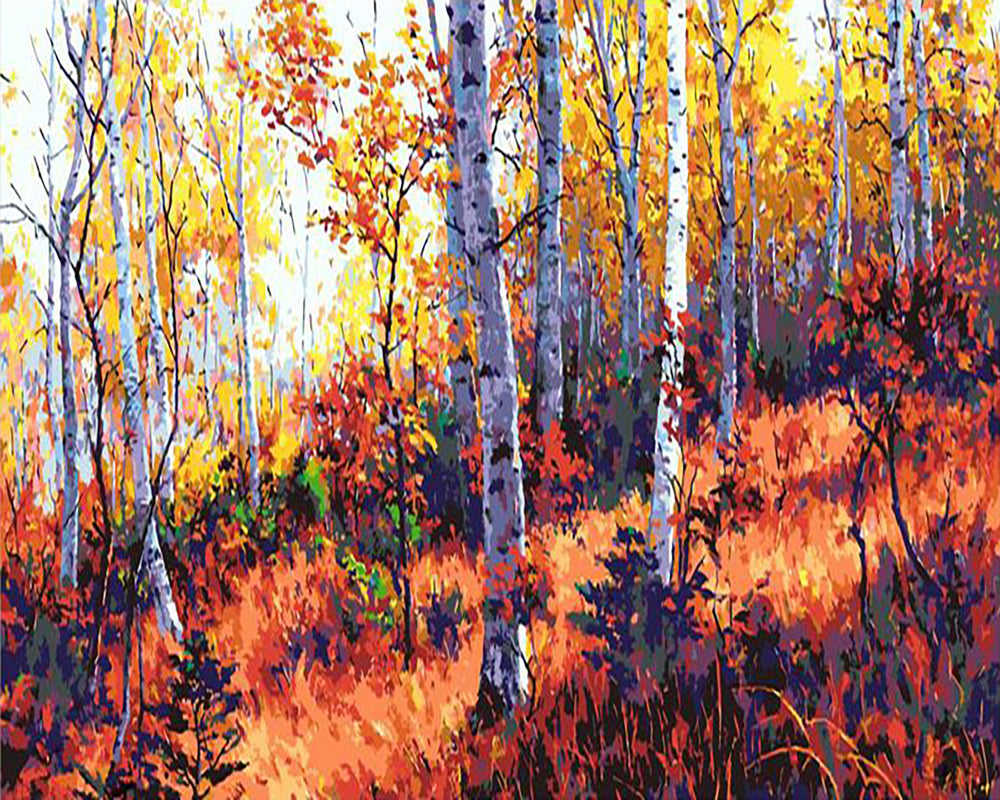 Autumn Birch Forest - 40x50 cm paint by numbers kit