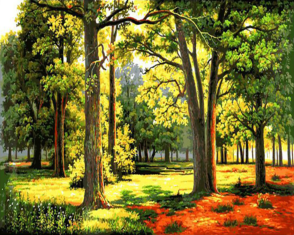 Sunlit Woodland Grove - 40x50 cm paint by numbers kit