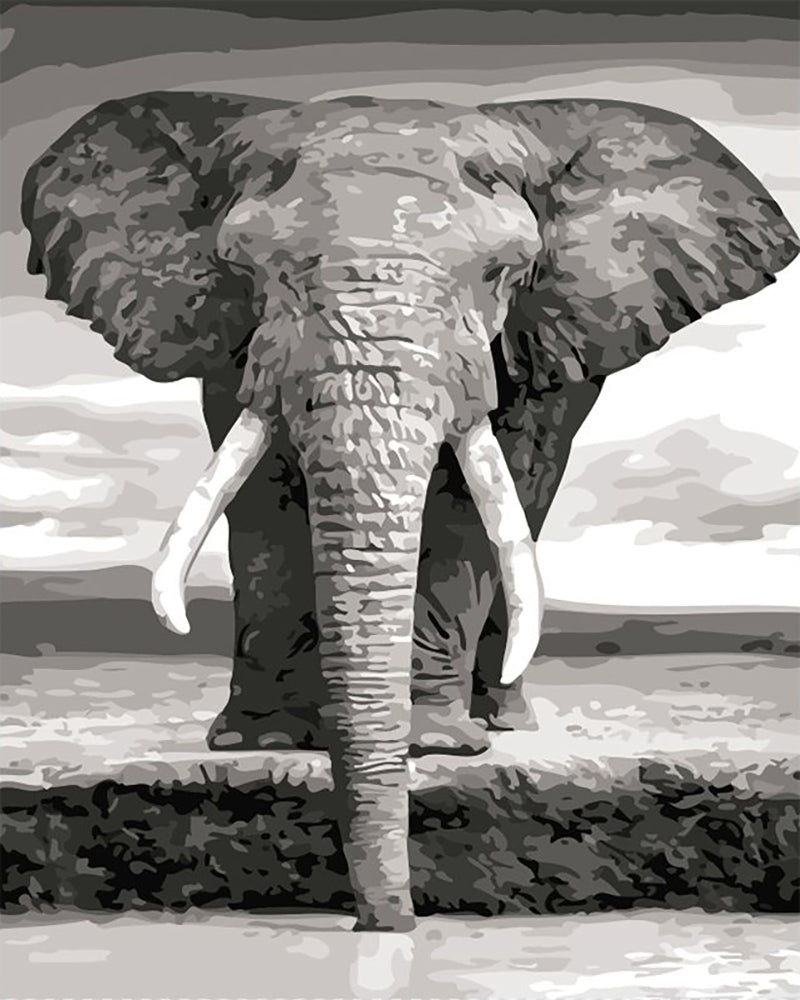 Monochrome Elephant - 40x50 cm paint by numbers kit