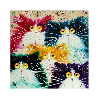Colorful Curious Cats - 40x50 cm paint by numbers kit