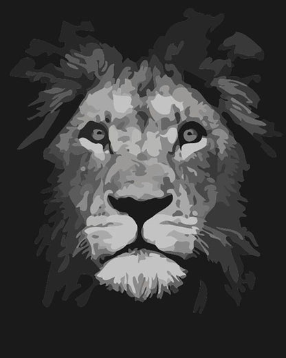 Majestic Black Lion - 40x50 cm paint by numbers kit