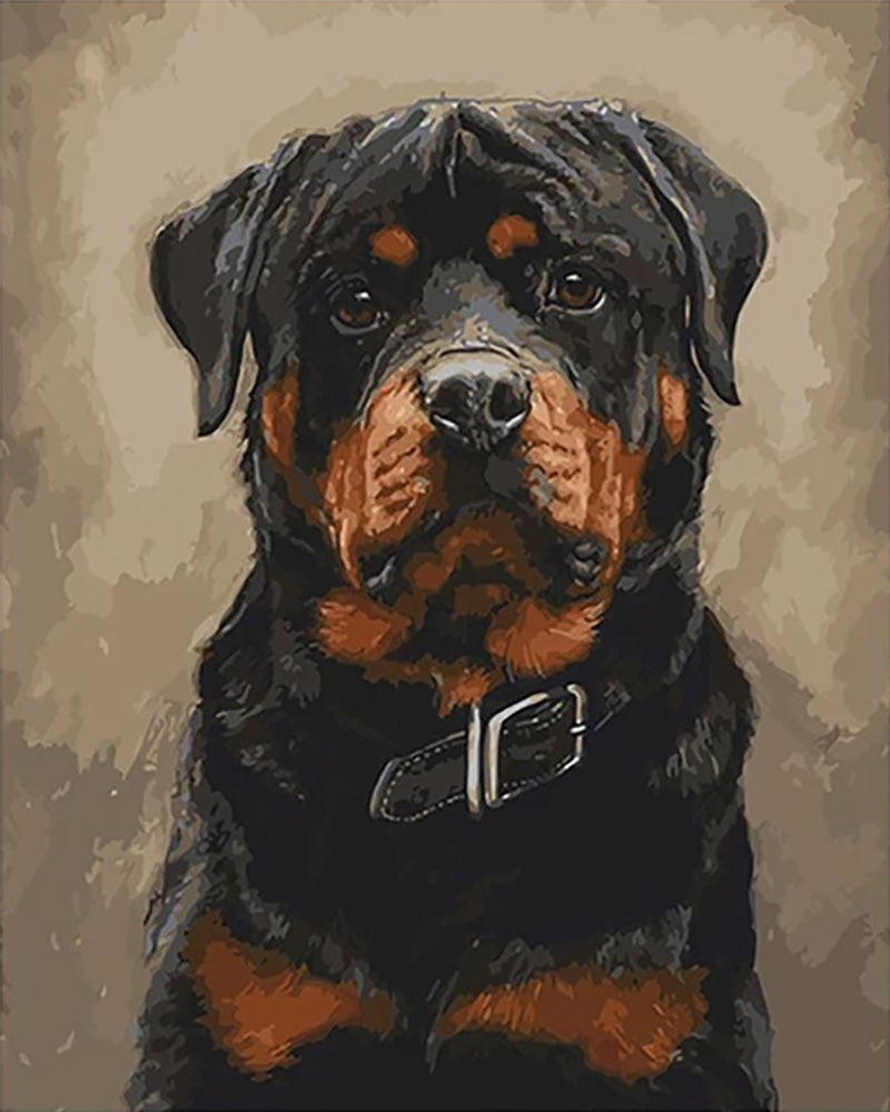 Loyal Rottweiler Portrait - 40x50 cm paint by numbers kit