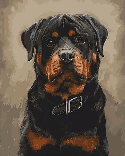 Loyal Rottweiler Portrait - 40x50 cm paint by numbers kit