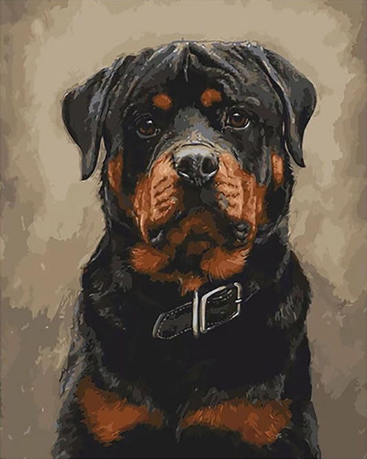 Loyal Rottweiler Portrait - 40x50 cm paint by numbers kit