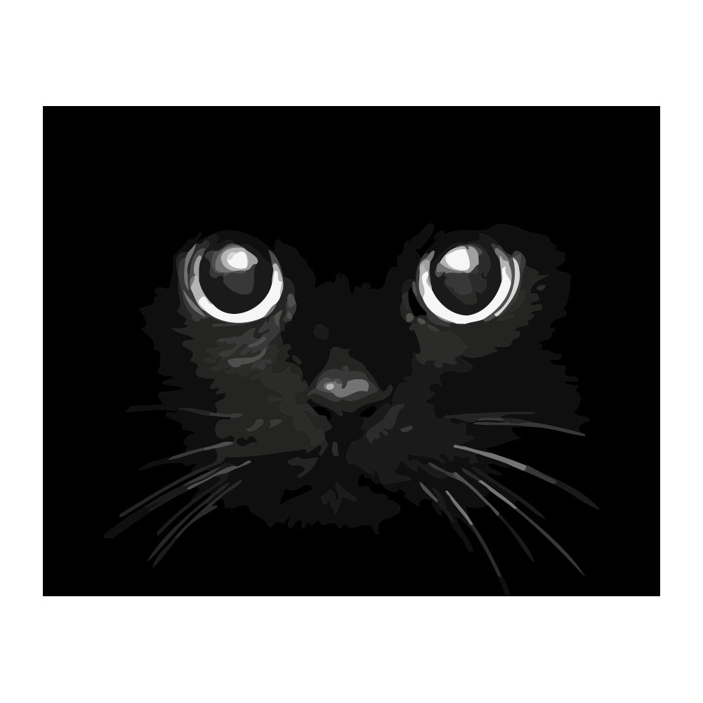 Wide Eyed Black Cat - 40x50 cm paint by numbers kit