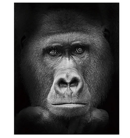 Black and White Gorilla Portrait - 40x50 cm paint by numbers kit